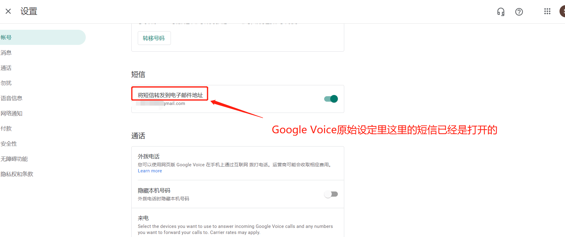 Google Voice设置页面,打开