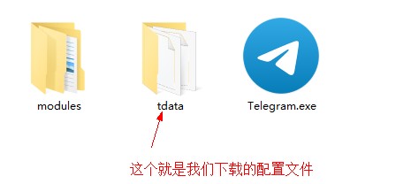 购买Telegram的配置文件