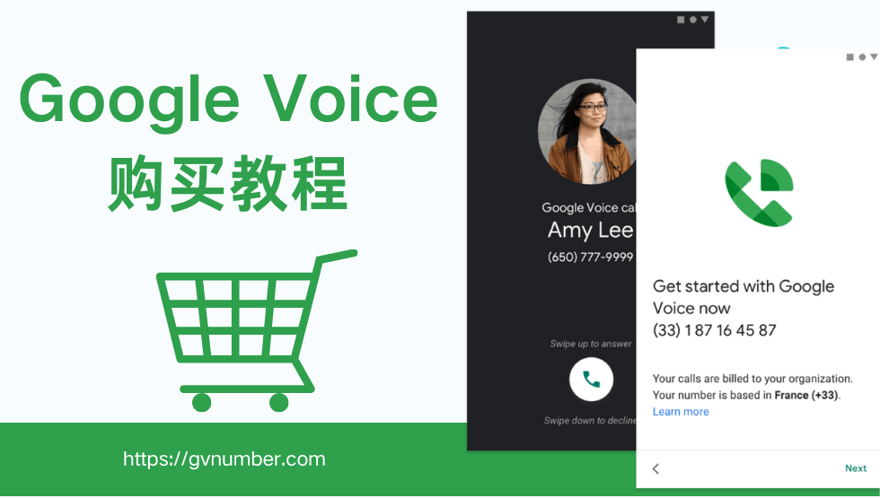 Google Voice购买教程